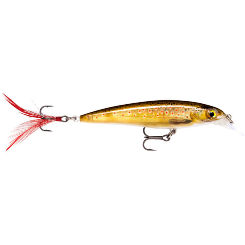 Lure X-Rap 6cm/4g/0.9-1.5m TRL