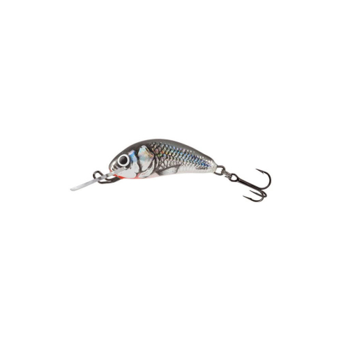 Lure Hornet 2S 2.5cm/1.5g/0.5-1.0m HGS