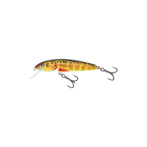 Lure Minnow 7S 7cm/8g/1.5-2.0m TRO