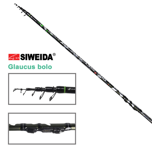 Õng SWD Sports Glaucus bolo 5m kuni 30g