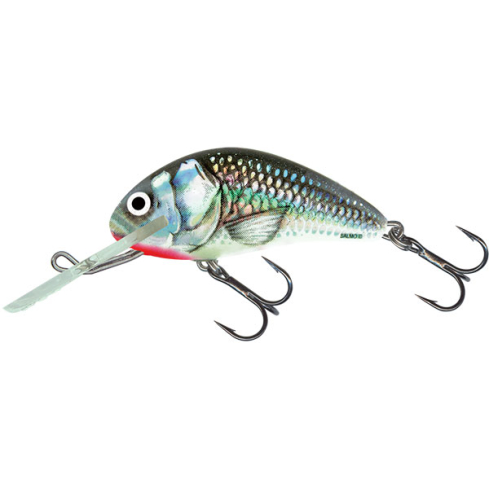 Lure Hornet 6S 6cm/14g/3.0-4.0m HGS